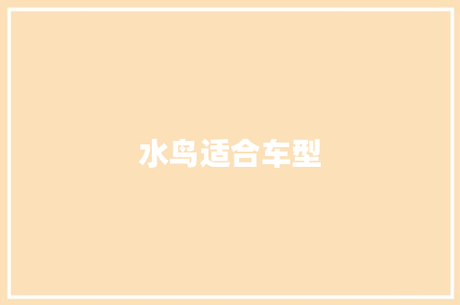 水鸟适合车型
