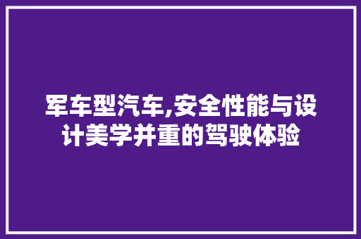 军车型汽车,安全性能与设计美学并重的驾驶体验