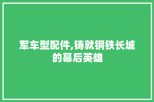 军车型配件,铸就钢铁长城的幕后英雄