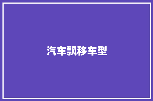 汽车飘移车型