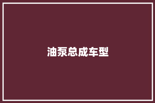 油泵总成车型