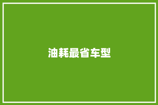 油耗最省车型