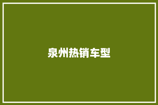 泉州热销车型