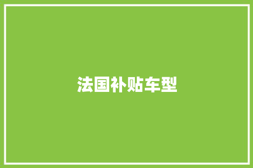 法国补贴车型