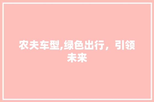 农夫车型,绿色出行，引领未来