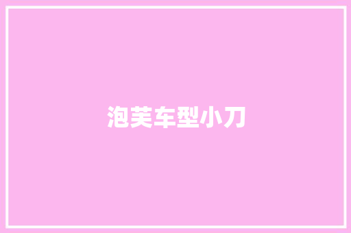 泡芙车型小刀