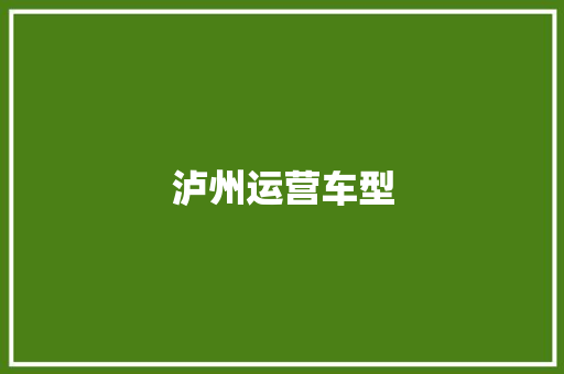 泸州运营车型