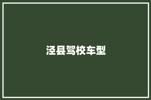泾县驾校车型