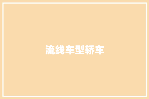 流线车型轿车
