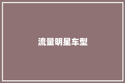 流量明星车型