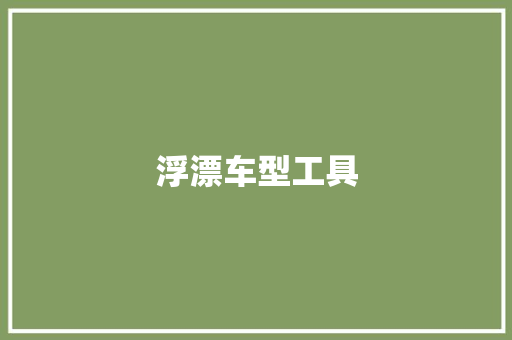 浮漂车型工具