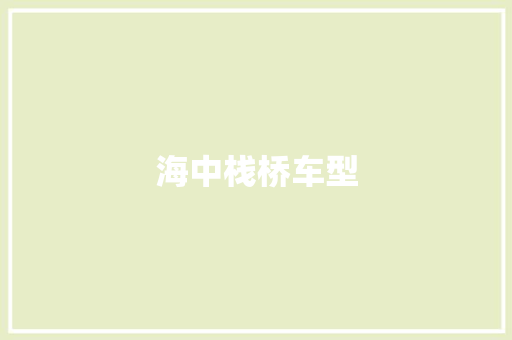 海中栈桥车型
