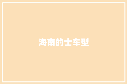 海南的士车型