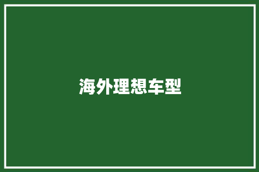 海外理想车型