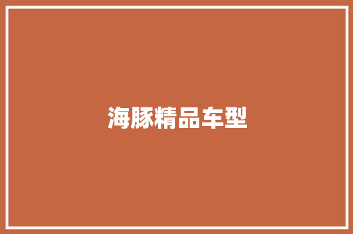 海豚精品车型