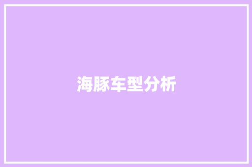 海豚车型分析