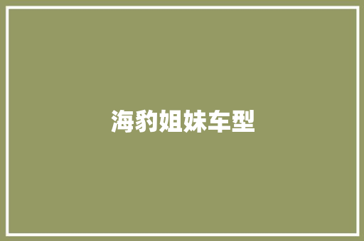 海豹姐妹车型