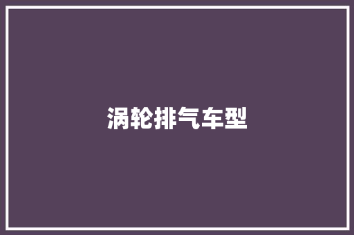 涡轮排气车型