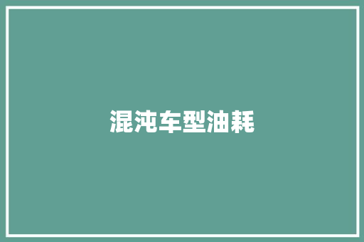 混沌车型油耗
