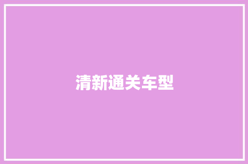 清新通关车型