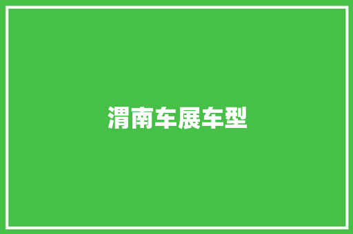 渭南车展车型