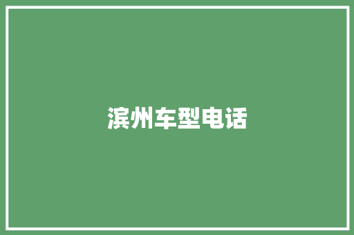 滨州车型电话