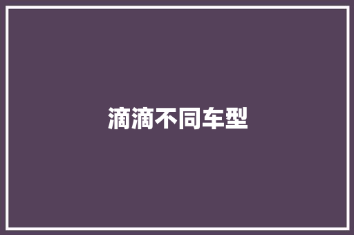 滴滴不同车型