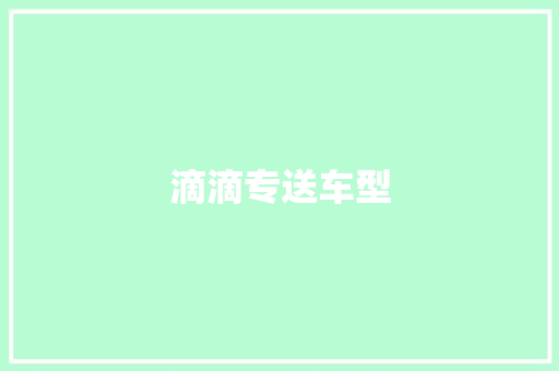 滴滴专送车型
