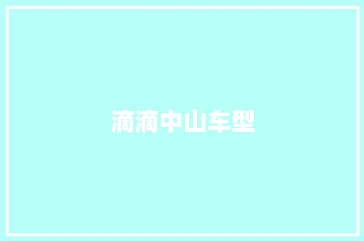 滴滴中山车型