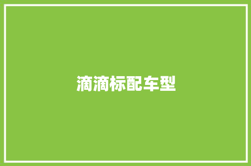 滴滴标配车型