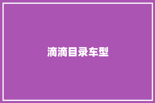 滴滴目录车型