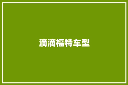 滴滴福特车型