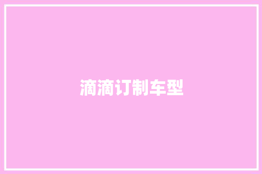 滴滴订制车型