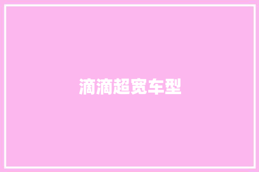 滴滴超宽车型
