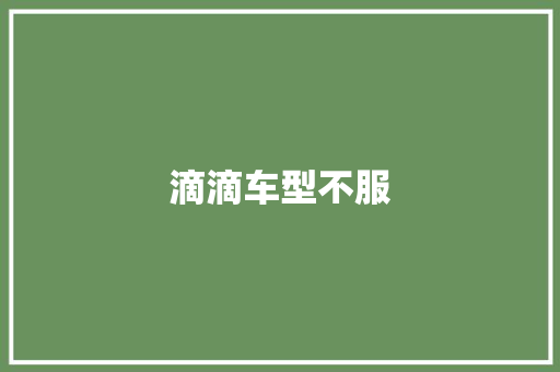 滴滴车型不服