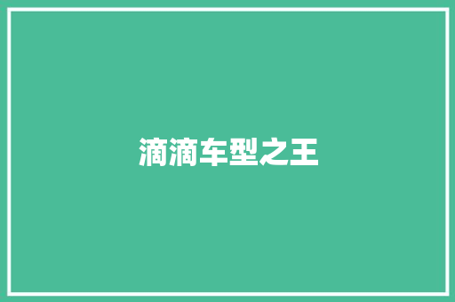 滴滴车型之王