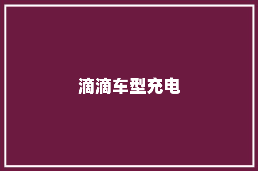 滴滴车型充电