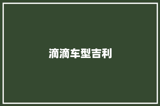 滴滴车型吉利 新能源汽车