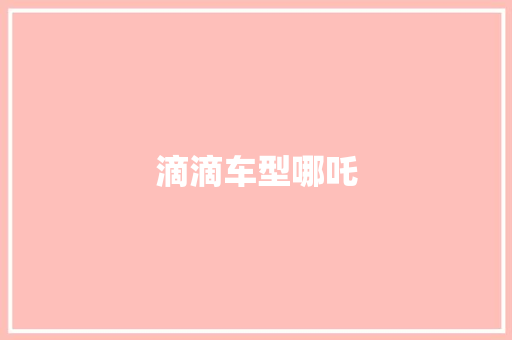 滴滴车型哪吒