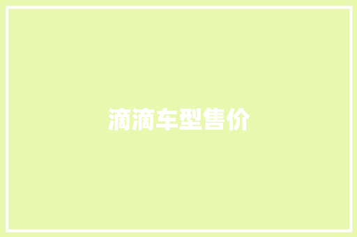 滴滴车型售价