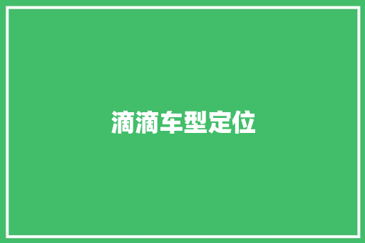 滴滴车型定位
