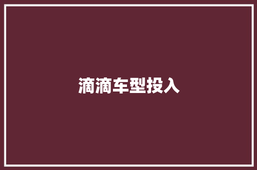 滴滴车型投入