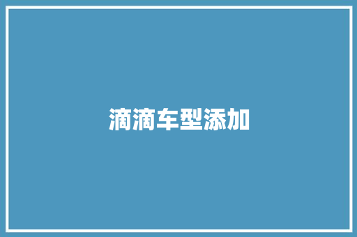 滴滴车型添加