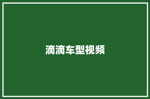滴滴车型视频