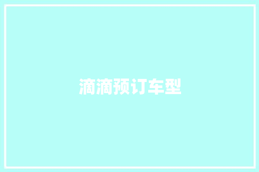 滴滴预订车型