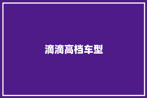 滴滴高档车型