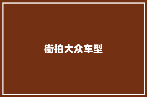 街拍大众车型