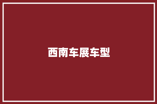 西南车展车型