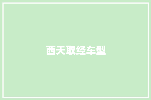 西天取经车型