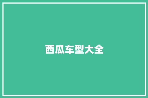 西瓜车型大全